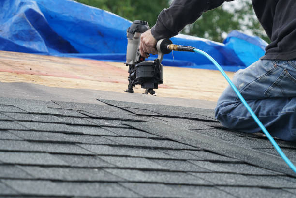 Best Roof Moss and Algae Removal  in Hannahs Mill, GA